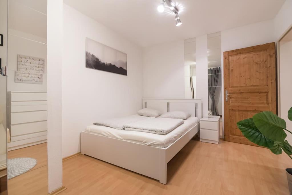 Spacious Central Apartment Vídeň Exteriér fotografie